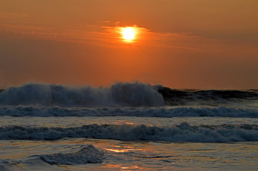 The Look of Love Photograph by Dianne Cowen Cape Cod and Ocean ...