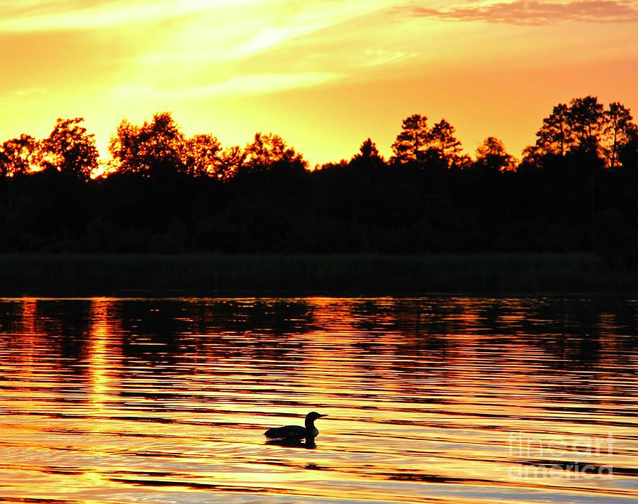 Sunset On Golden Pond Photograph by Ann Brown