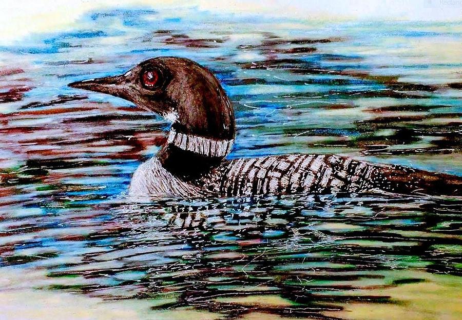 The  Loon Drawing by Marysue Ryan
