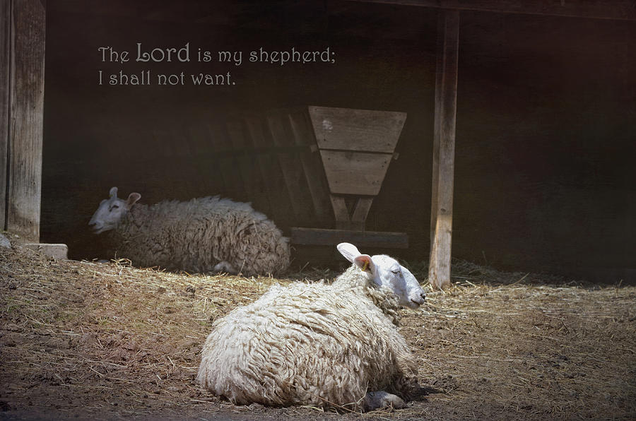 The Lord Is My Shepherd - Psalm 23  Photograph by Maria Angelica Maira