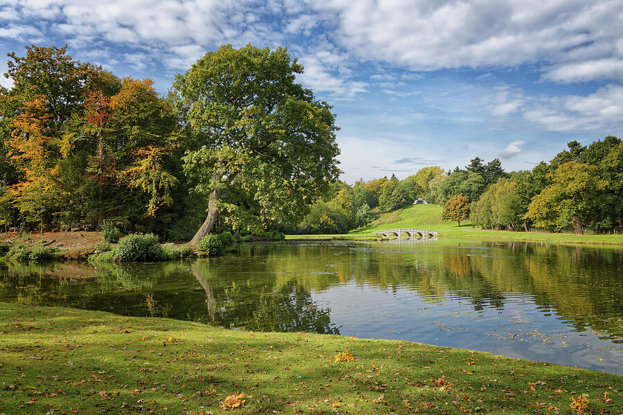 Landscape Photograph - The Lost Oak Tree at Painshill Park in Cobham Surrey England UK by John Gilham