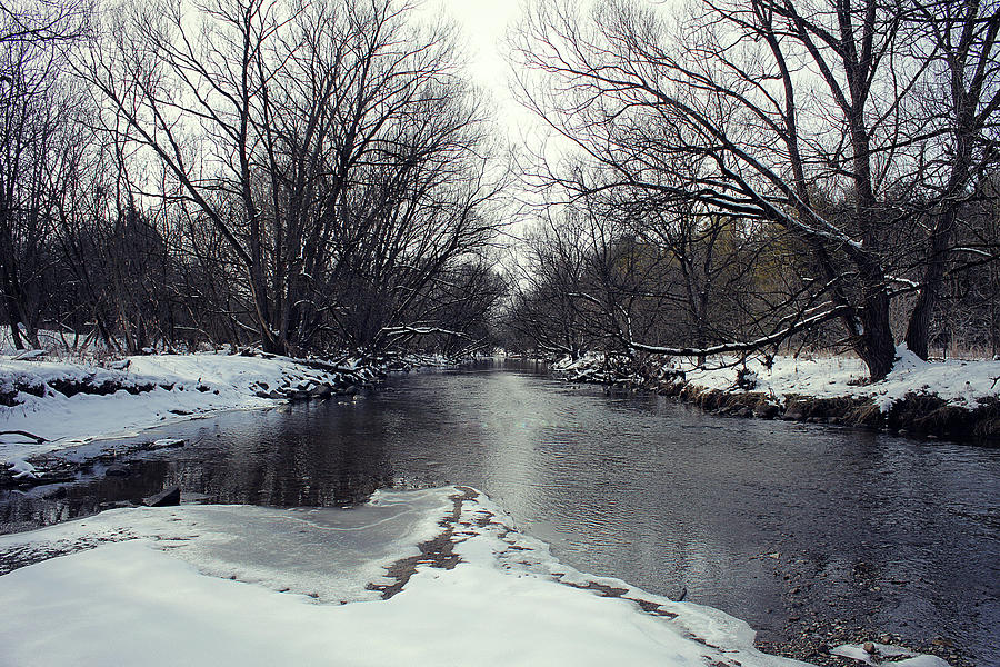 Winter Photograph - The Love Of Winter 17 by Cyryn Fyrcyd