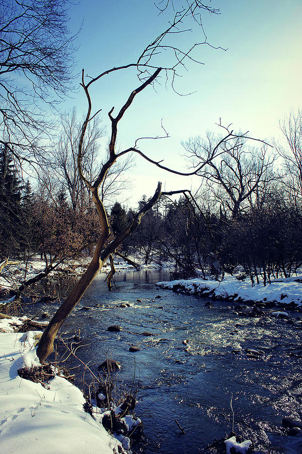 The Love Of Winter  21 Photograph by Cyryn Fyrcyd