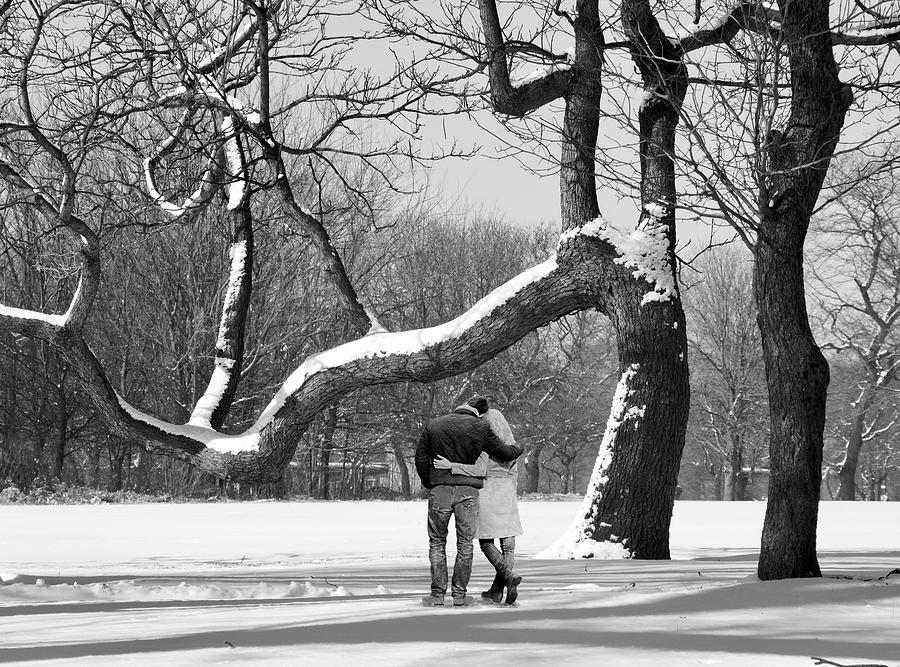 The Love Trees Photograph by Carol Neal-Chicago