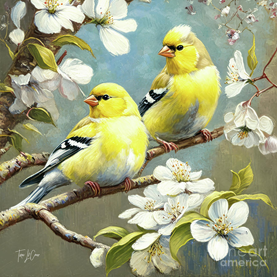 Spring Painting - The Lovely Goldfinches by Tina LeCour