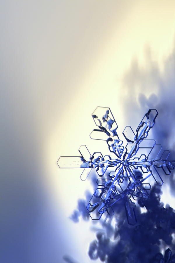The low winter sun is shining through a transparent snowflake Photograph by Ulrich Kunst And Bettina Scheidulin