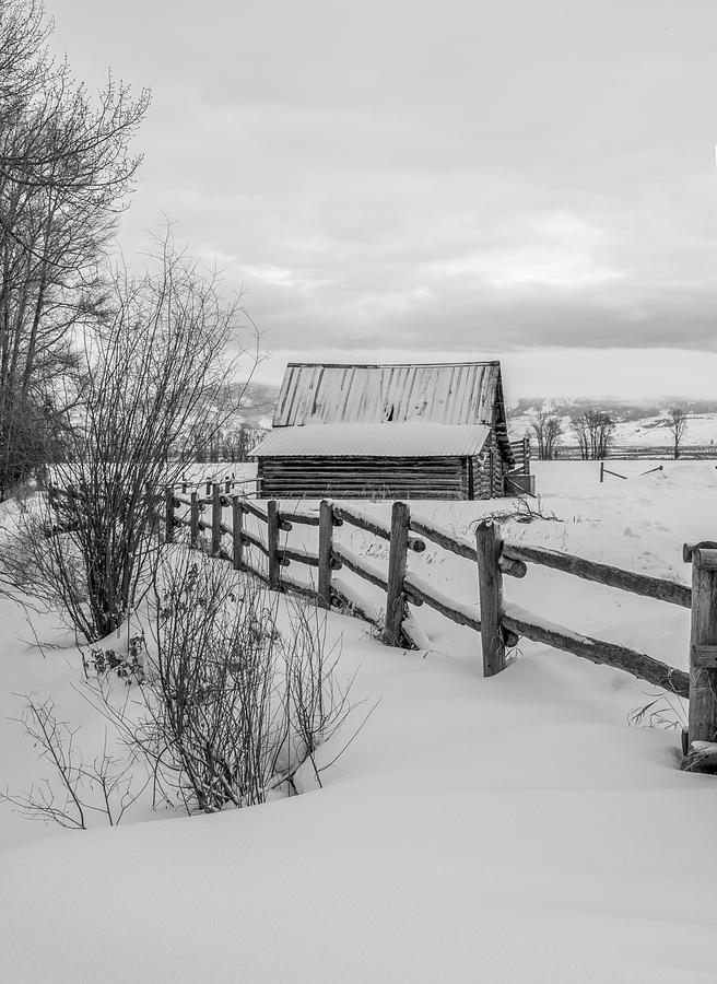 The Lucas Barn, Black and White Vertical Photograph by Marcy Wielfaert