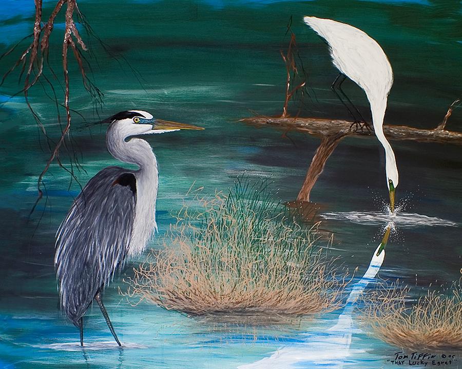 The Lucky Egret Painting by Tom Tiffin - Fine Art America