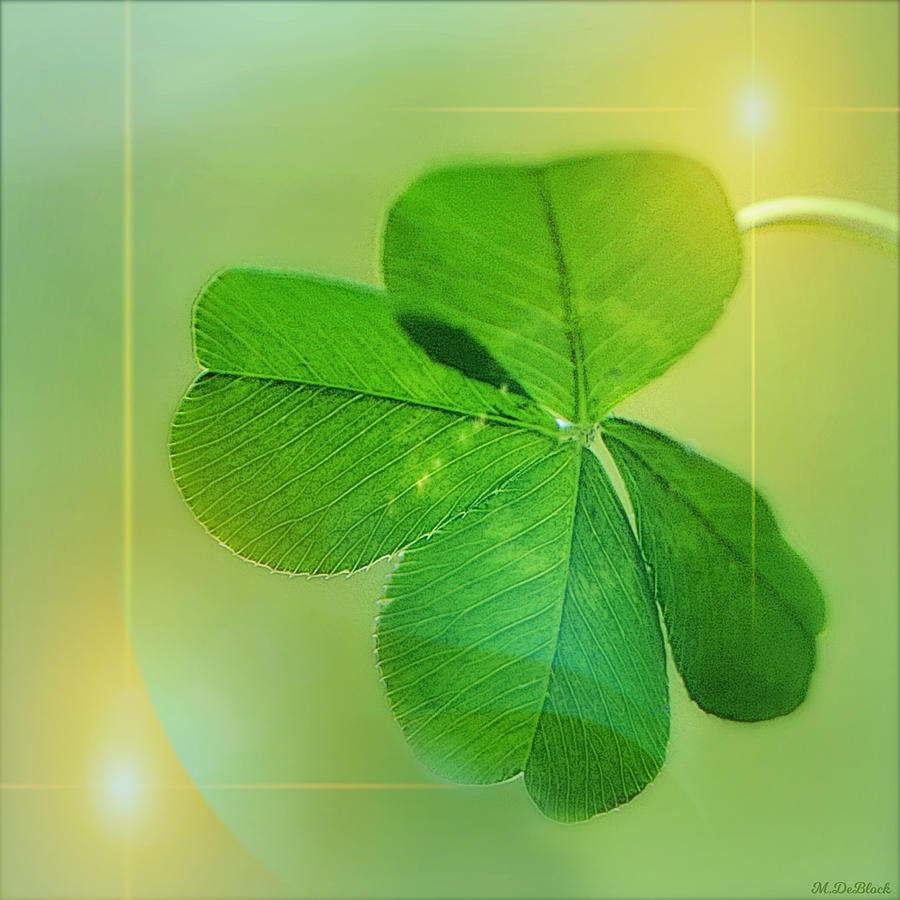 The Lucky Four Photograph by Marilyn DeBlock - Fine Art America