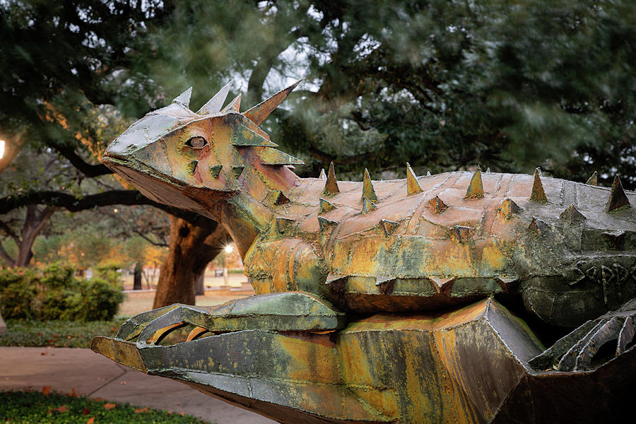 The Lucky Horned Frog Statue Of TCU Photograph by Gregory Ballos