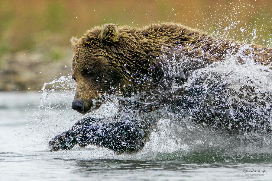 The Lunge Photograph by Edward Marsh - Fine Art America