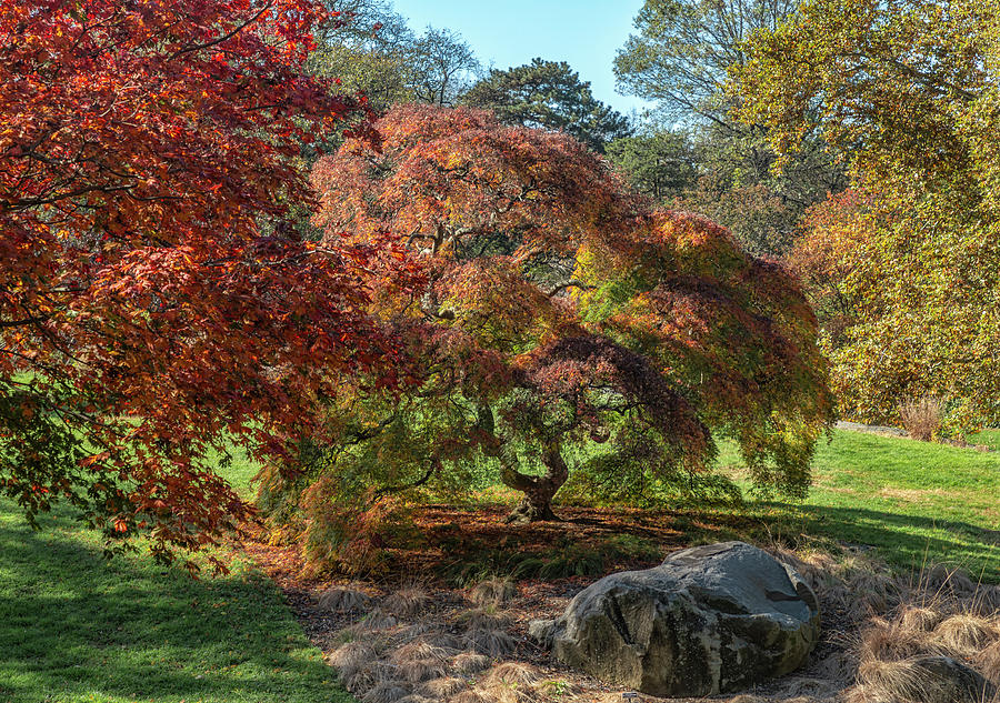 The Lure of Autumn Photograph by Cate Franklyn The Lure of Autumn Photograph by Cate Franklyn
