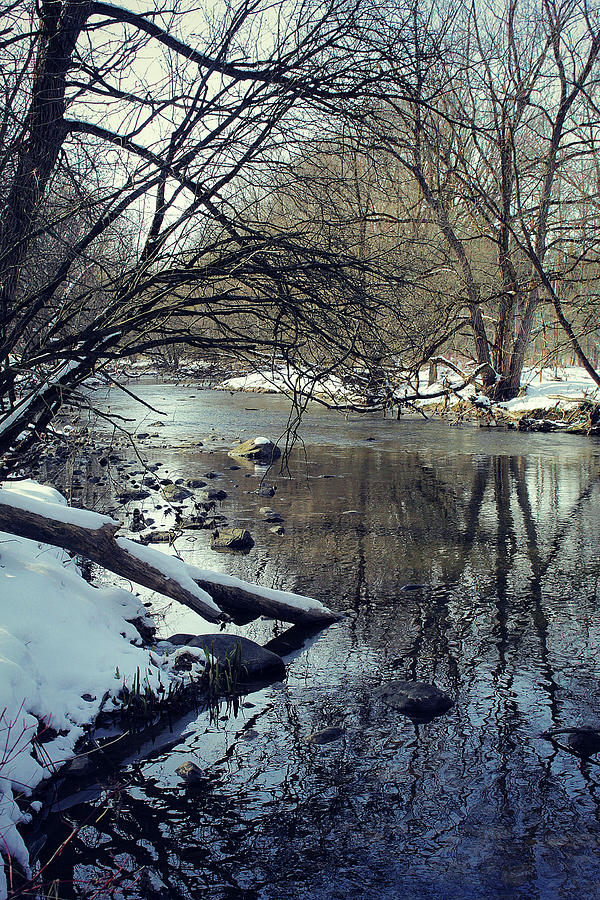 The Love Of Winter 19 Photograph by Cyryn Fyrcyd