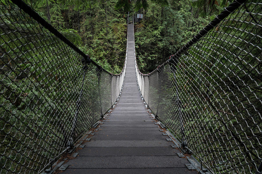The Lynn Canyon Suspension Bridge in Lynn Canyon Park Photograph by Michael Russell