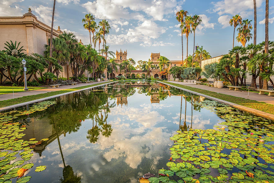 A Perfect Calm At The Lily Pond Balboa Park Photograph by Joseph S Giacalone