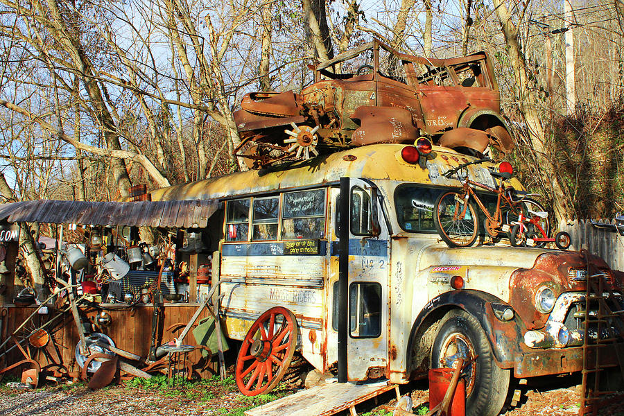 The magic bus Photograph by Tammy Sullivan | Fine Art America