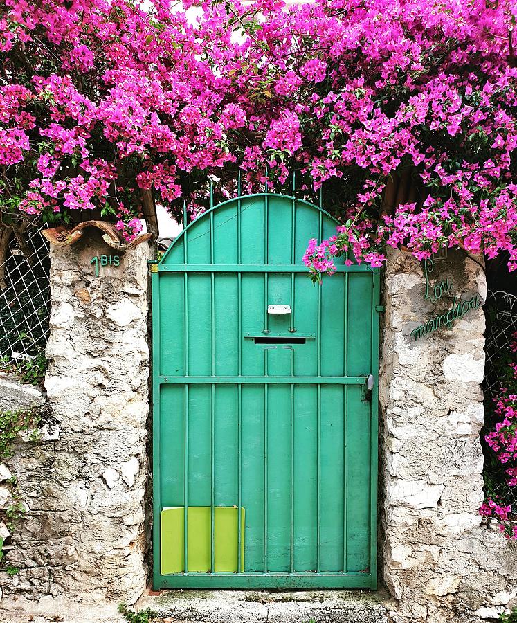 The Magic Door Photograph by Andrea Whitaker