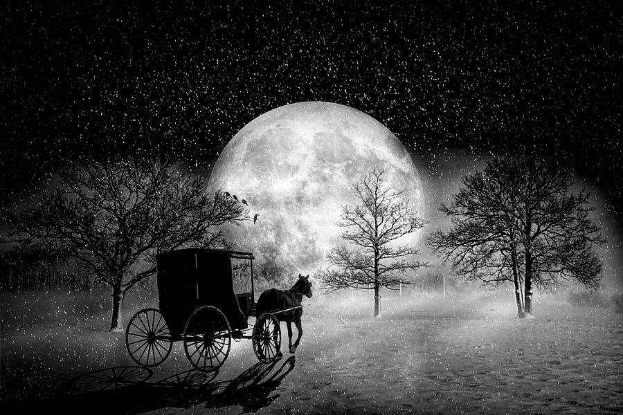 The Magic of a Winter Night in Black and White Photograph by Debra and Dave Vanderlaan