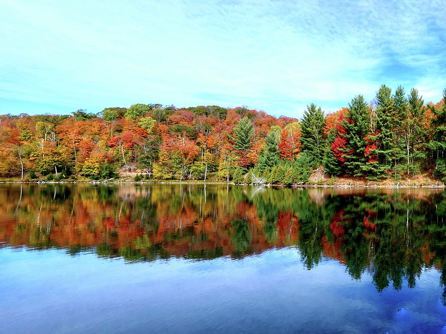 The magic of colors Photograph by Natur Elfes - Fine Art America