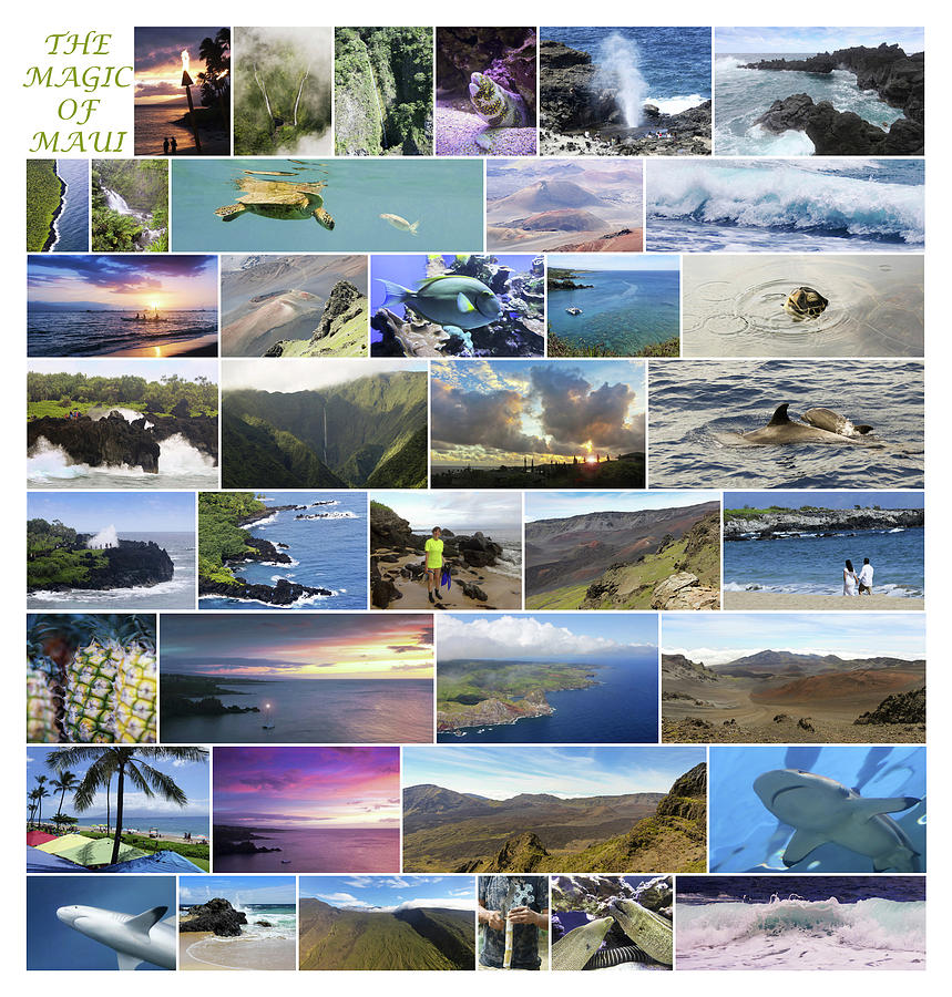 The Magic Of Maui Collage, Hawaii, Usa Digital Art