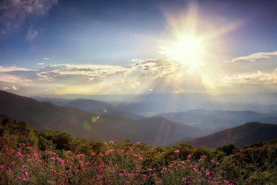The Magic of Sunbeams - Shenandoah National Park Photograph by Susan Rissi Tregoning