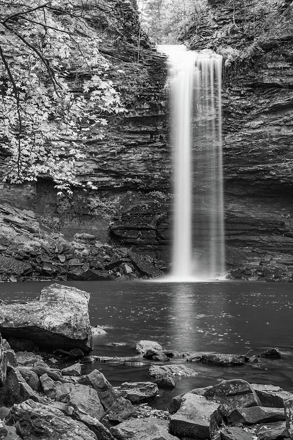 The Magical Descent Of Cedar Falls - Black And White Photograph