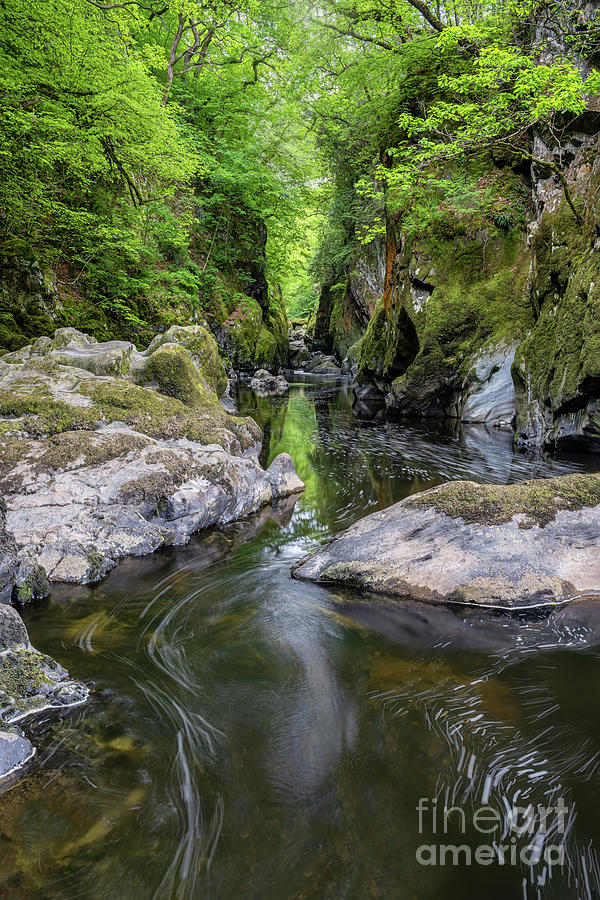The magical Fairy Glen in a secluded gorge on the River Conwy just outside Betws y Coed in North Wal Photograph by Richard Burdon