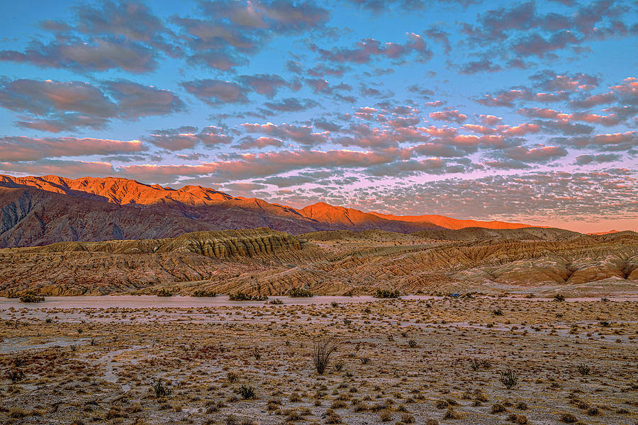 The Magnificent Desert Photograph by Peter Tellone