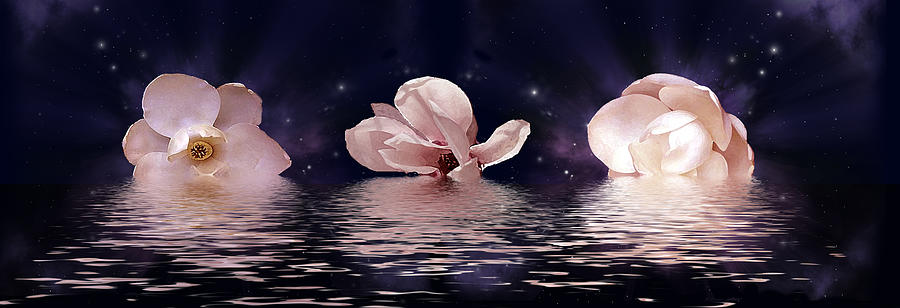 The Magnolias Digital Art by Julie Rodriguez Jones