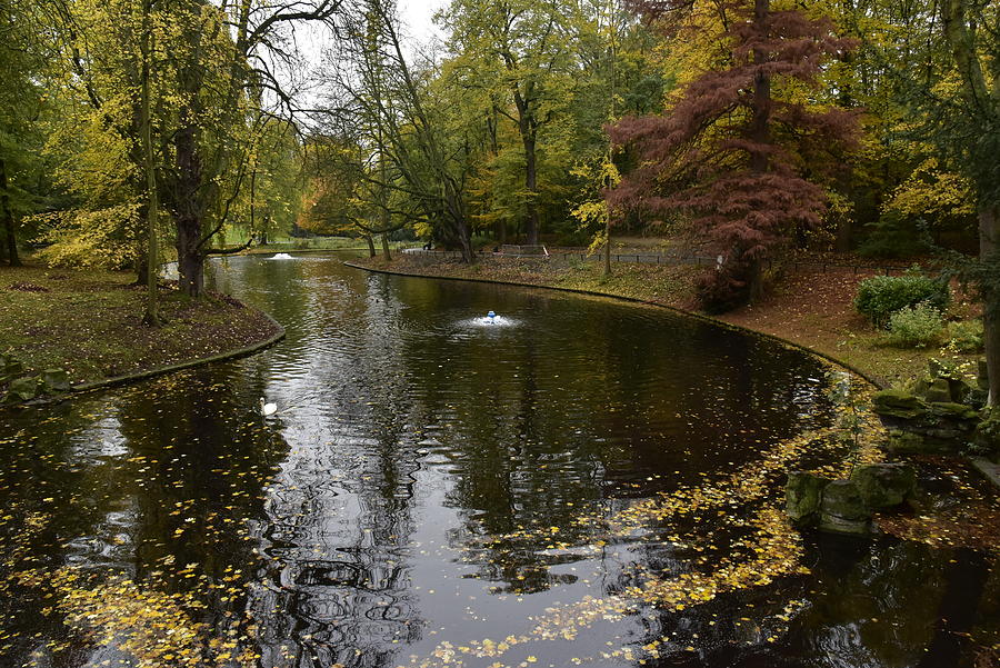 The main pond of Josaphat Park in autumn Photograph by Images authentiques par le photographe gettysteph