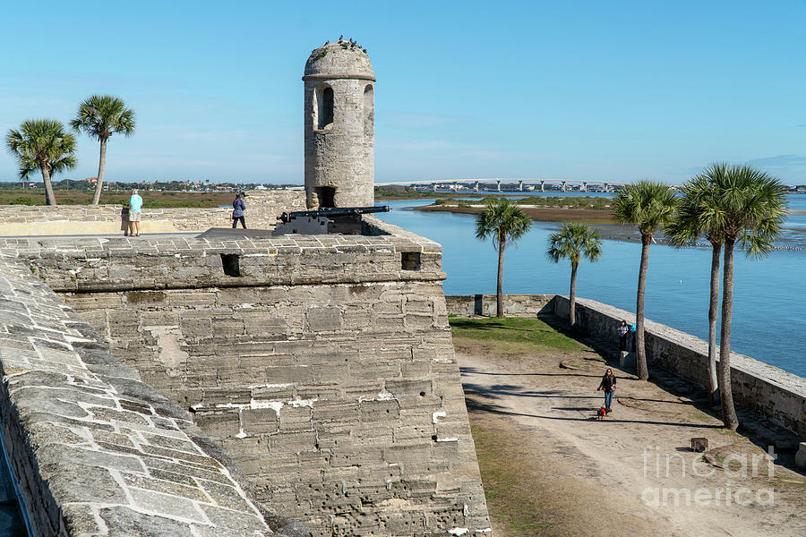 The main watch tower and a cannon at the Castillo de San Marcos, Photograph by William Kuta