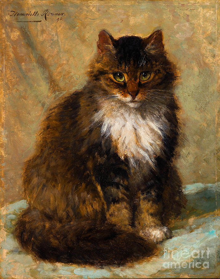 The Maine Coon Cat Painting by Peter Ogden