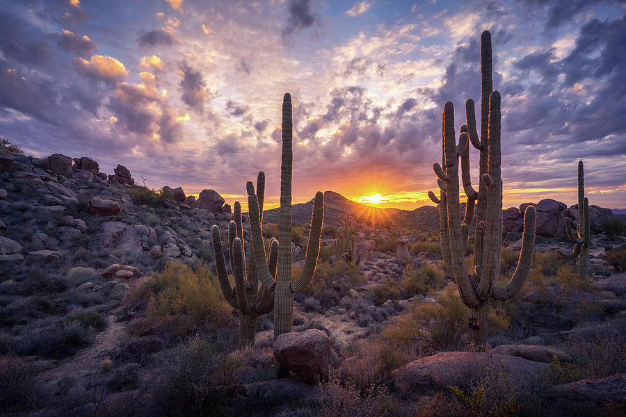 The Majestic Everything Photograph by Eric Mischke - Fine Art America