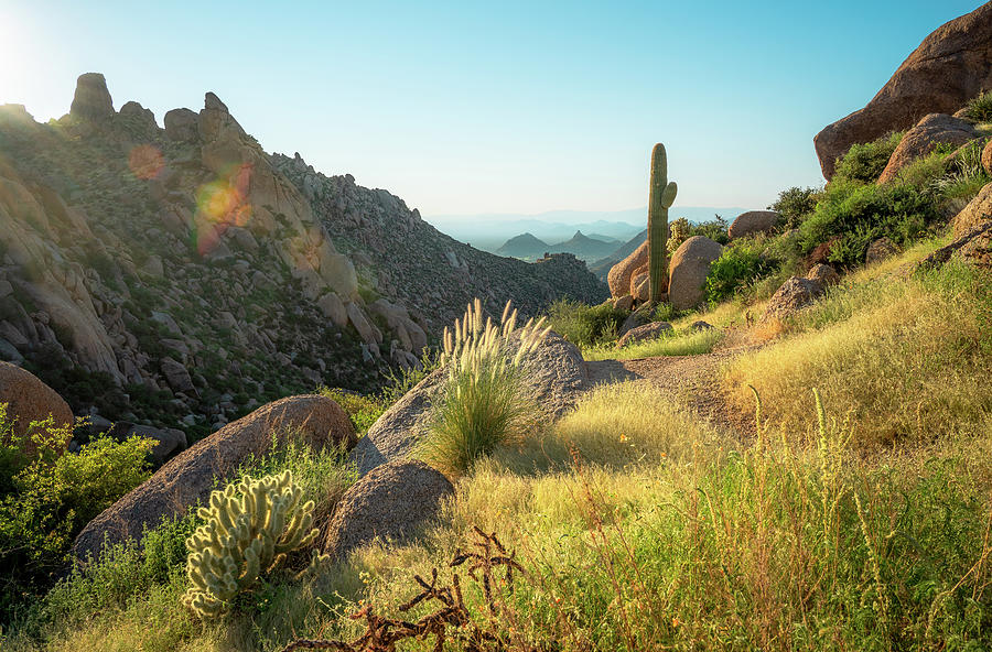 The Majestic McDowell Mountains Photograph by Eric Mischke - Fine Art 