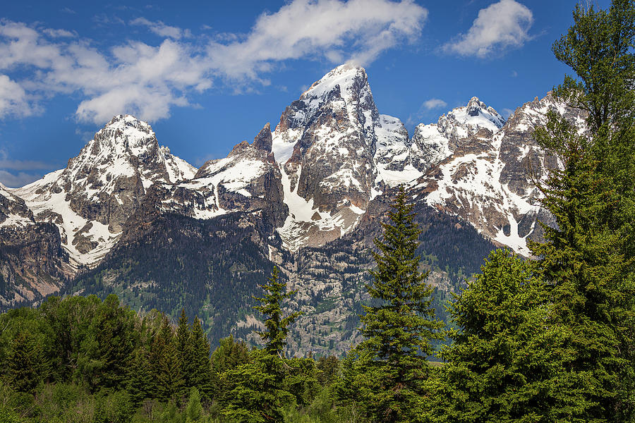 The Majestic Tetons Photograph by Tim Stanley