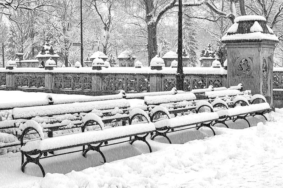 The Mall at Central Park BW Photograph by Susan Candelario