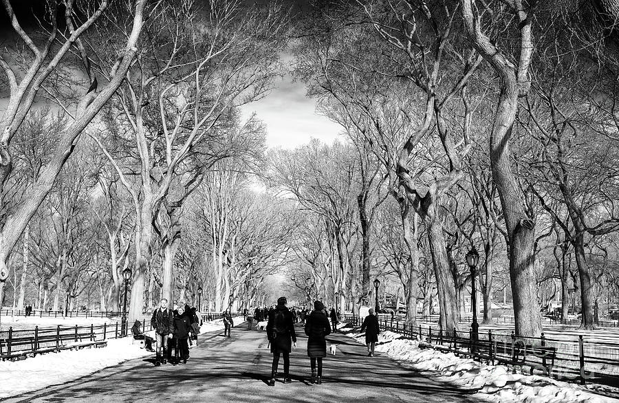 The Mall at Central Park in New York City Photograph by John Rizzuto
