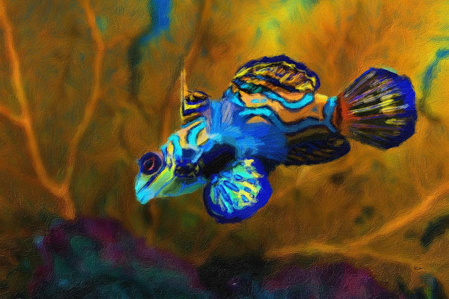 The Manderinfish - Beautifully Colored Digital Art by Russ Harris