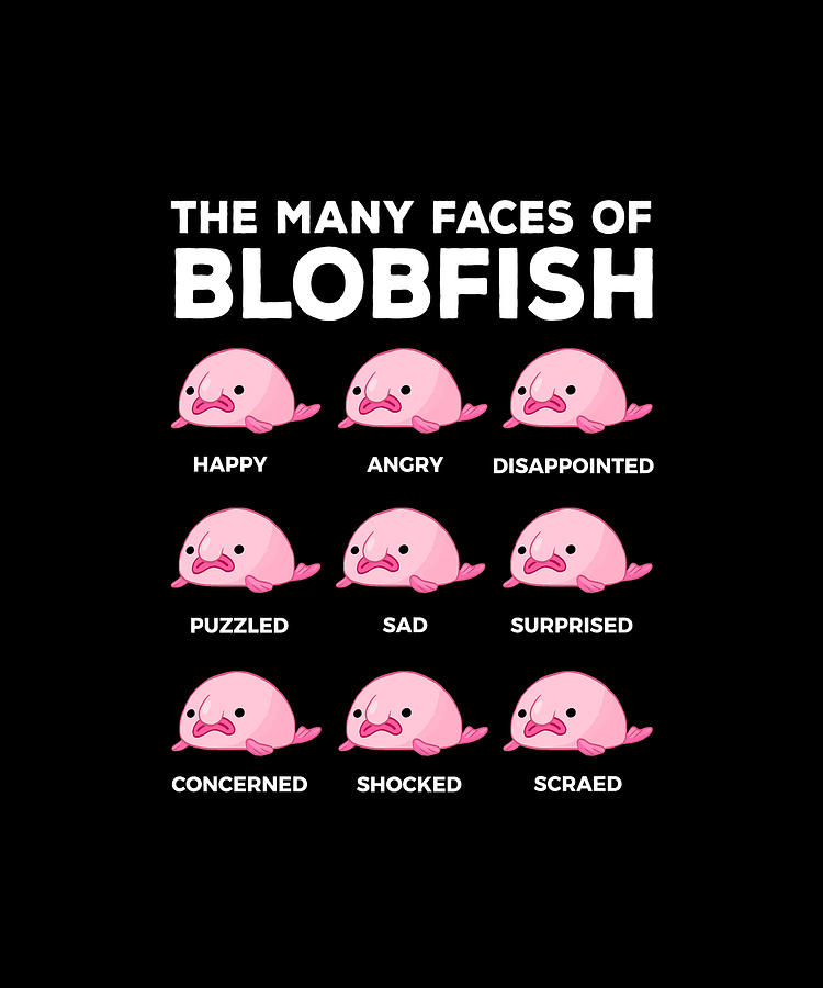 cute blobfish