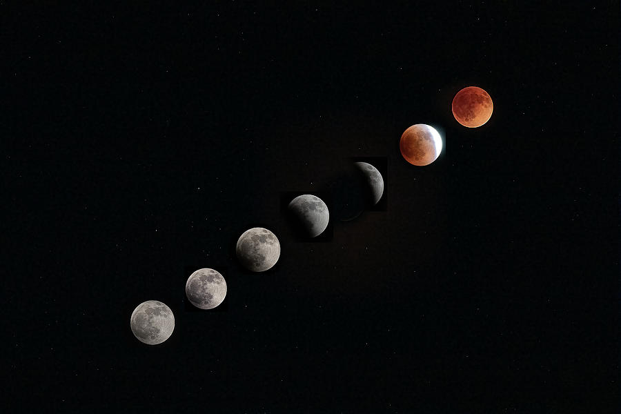 The Many Moons Of Our Eclipse Photograph