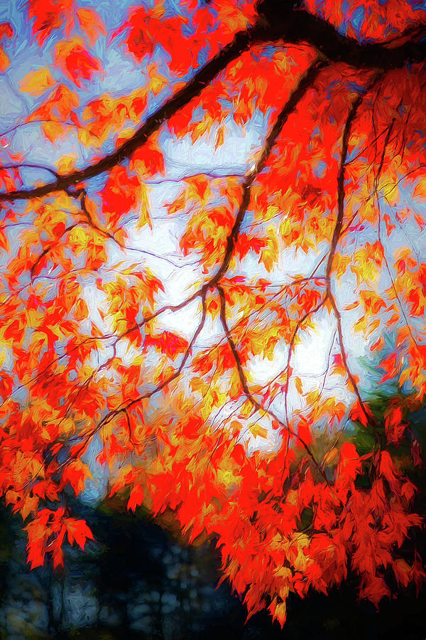 The Maple Stuns in Autumn Painting by Dan Carmichael