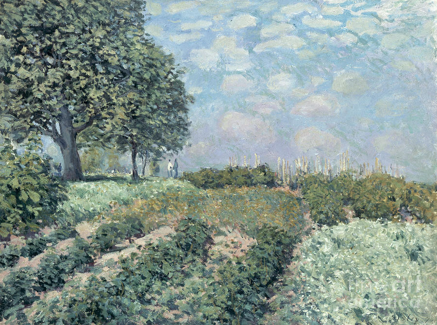 The Market Gardens, 1874 Painting by Alfred Sisley