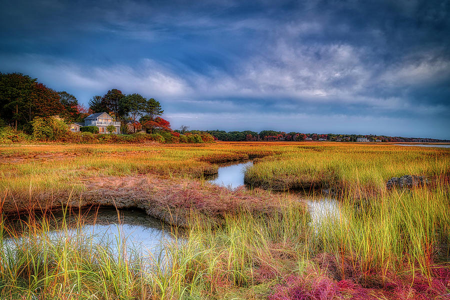 The Marsh Photograph by Penny Polakoff