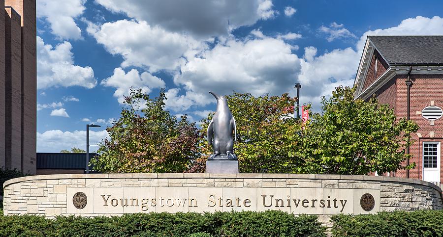 University Photograph - The Mascot Penguin of Youngstown State University by Mountain Dreams