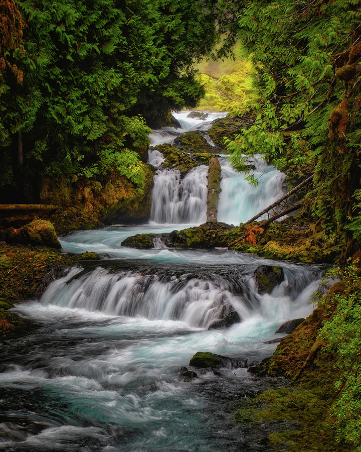 The McKenzie River 1 Photograph by Thomas Hall The McKenzie River 1 Photograph by Thomas Hall