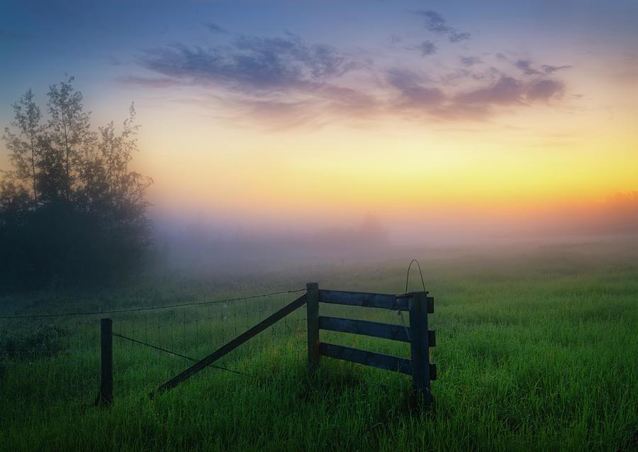 The Meadow Photograph by Dan Jurak