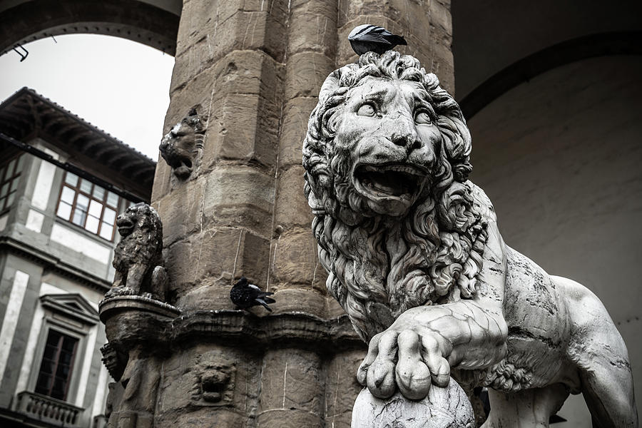 The Medici Lion at Loggia della Signoria Photograph by Fabiano Di Paolo