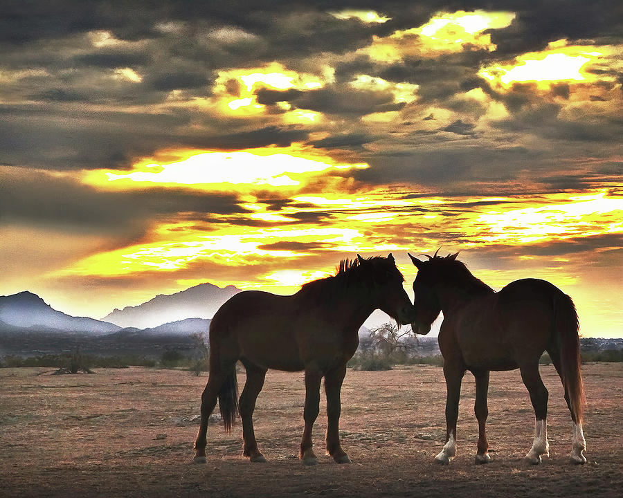 THE MEETING, Superstition Mountains, ARizona Photograph by Don Schimmel