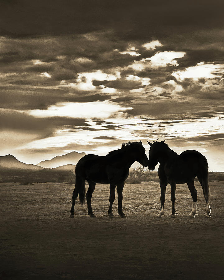 The Meeting, Sepia, Salt River Indian Ponies, Superstition Mountains, Arizona Vertical Photograph by Don Schimmel