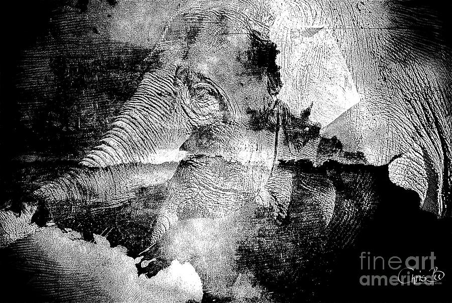 The Memories of an Elephant Digital Art by Chris Bee